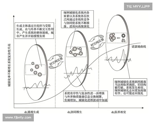 位面精华的基本理论探讨与跨维度能量互动关系分析 位面精华的基本理论探讨与跨维度能量互动关系分析